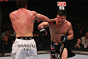 Sonnen vs Stann