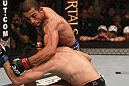 Aldo vs Florian