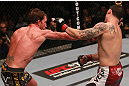 Edgar vs Maynard
