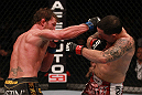 Edgar vs Maynard