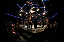 UFC 136 Toyota Center Arena