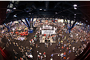 UFC fans attend the UFC Fan Expo