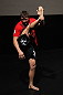 Matt Mitrione