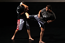 (L-R) Nate Diaz and Nick Diaz