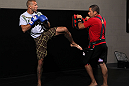 Donald Cerrone