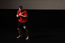 Matt Mitrione