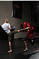 Donald Cerrone