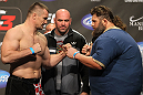 Mirko Cro Cop vs Roy Nelson