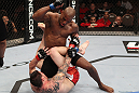 Chris Camozzi vs Francis Carmont