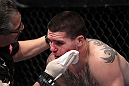 Chris Camozzi
