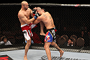 Brandon Vera vs Eliot Marshall