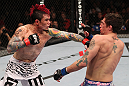 Scott Jorgensen vs Jeff Curran