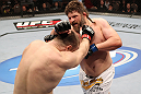 Mirko Cro Cop vs Roy Nelson
