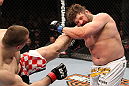 Mirko Cro Cop vs Roy Nelson