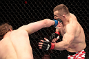 Mirko Cro Cop vs Roy Nelson