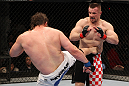 Mirko Cro Cop vs Roy Nelson