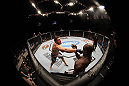 Cheick Kongo vs Matt Mitrione