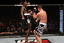Cheick Kongo vs Matt Mitrione