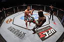 Cheick Kongo vs Matt Mitrione