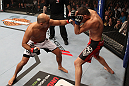 BJ Penn vs Nick Diaz