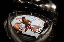 BJ Penn vs Nick Diaz