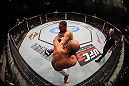 BJ Penn vs Nick Diaz