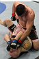 Maguire vs Edwards