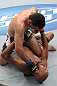 Diabate vs Perosh