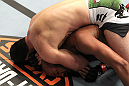 Diabate vs Perosh