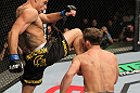 Barao vs Pickett