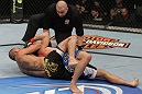 Barao vs Pickett