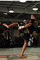 Junior dos Santos