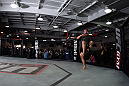 Cain Velasquez
