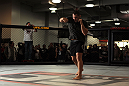 Cain Velasquez