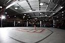 Cain Velasquez