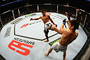 Alex Caceres vs Cole Escovedo