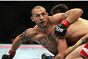 Ricardo Lamas vs Cub Swanson