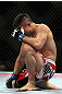 Ricardo Lamas