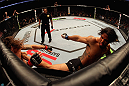 Benson Henderson vs Clay Guida
