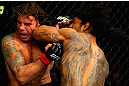 Benson Henderson vs Clay Guida