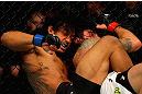 Benson Henderson vs Clay Guida