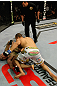 Junior dos Santos vs Cain Velasquez