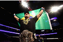 Junior dos Santos