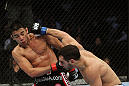 SAN JOSE, CA - NOVEMBER 19: (R-L) Nick Pace punches Miguel Torres during an UFC Bantamweight bout at the HP Pavillion in San Jose, California on November 19, 2011 in San Jose, California.  (Photo by Josh Hedges/Zuffa LLC/Zuffa LLC via Getty Images)