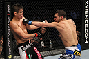 SAN JOSE, CA - NOVEMBER 19: (R-L) Nick Pace punches Miguel Torres during an UFC Bantamweight bout at the HP Pavillion in San Jose, California on November 19, 2011 in San Jose, California.  (Photo by Josh Hedges/Zuffa LLC/Zuffa LLC via Getty Images)