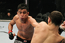 SAN JOSE, CA - NOVEMBER 19: (L-R) Miguel Torres punches Nick Pace during an UFC Bantamweight bout at the HP Pavillion in San Jose, California on November 19, 2011 in San Jose, California.  (Photo by Josh Hedges/Zuffa LLC/Zuffa LLC via Getty Images)