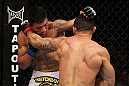 SAN JOSE, CA - NOVEMBER 19: (R-L) Gleison Tibau exchanges punches with Rafael dos Anjos during an UFC Lightweight bout at the HP Pavilion in San Jose, California on November 19, 2011 in San Jose, California. (Photo by Josh Hedges/Zuffa LLC/Zuffa LLC via Getty Images)