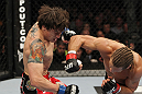 SAN JOSE, CA - NOVEMBER 19: (L-R) Brian Bowles takes a punch from Urijah Faber during an UFC Bantamweight bout at the HP Pavilion on November 19, 2011 in San Jose, California. (Photo by Josh Hedges/Zuffa LLC/Zuffa LLC via Getty Images)