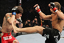 SAN JOSE, CA - NOVEMBER 19: (R-L) Urijah Faber kicks Brian Bowles during an UFC Bantamweight bout at the HP Pavillion on November 19, 2011 in San Jose, California.  (Photo by Josh Hedges/Zuffa LLC/Zuffa LLC via Getty Images)