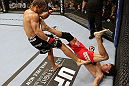SAN JOSE, CA - NOVEMBER 19: (R-L) Brian Bowles kicks Urijah Faber during an UFC Bantamweight bout at the HP Pavillion on November 19, 2011 in San Jose, California.  (Photo by Josh Hedges/Zuffa LLC/Zuffa LLC via Getty Images)